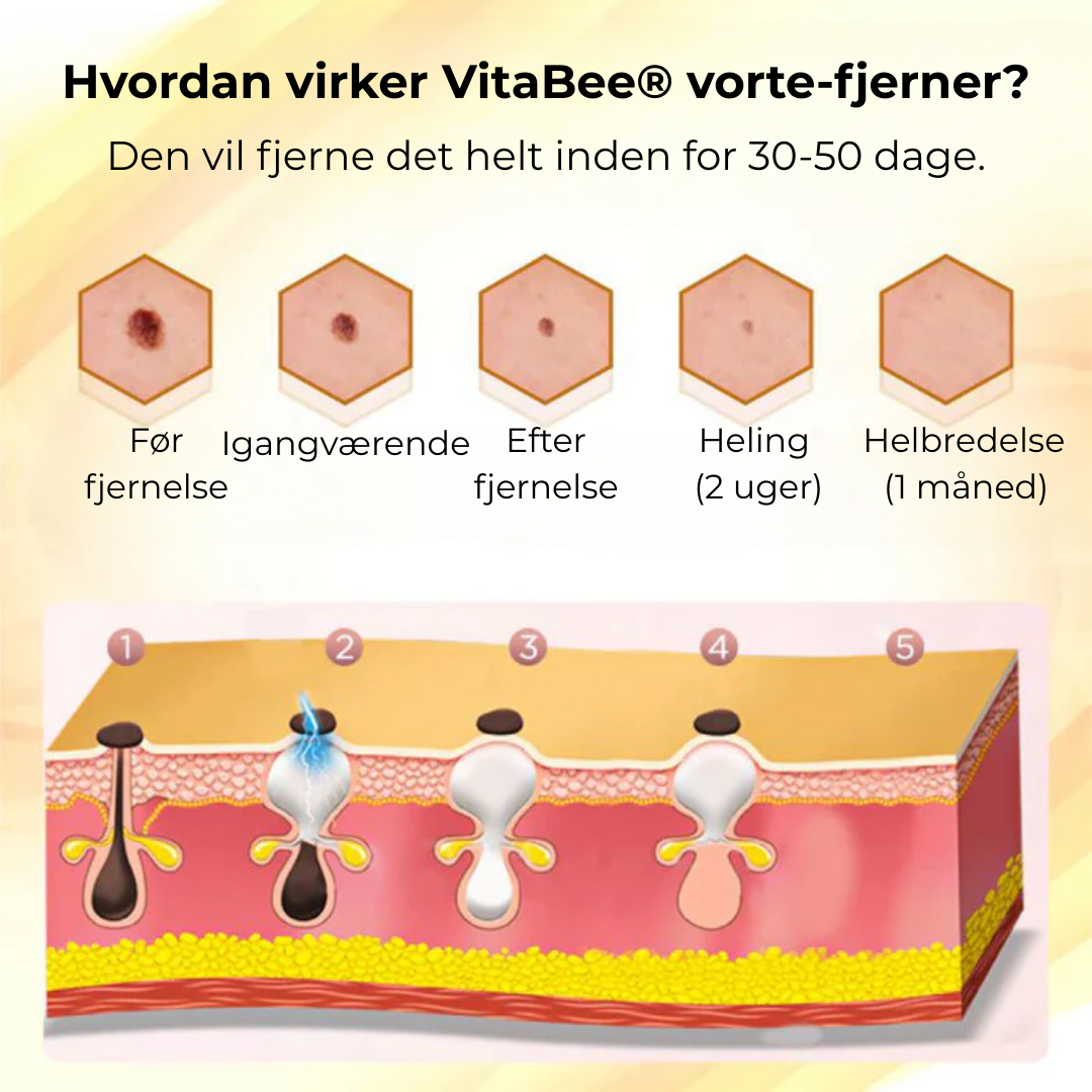 VitaBee® | Koncentreret bigift reparationscreme