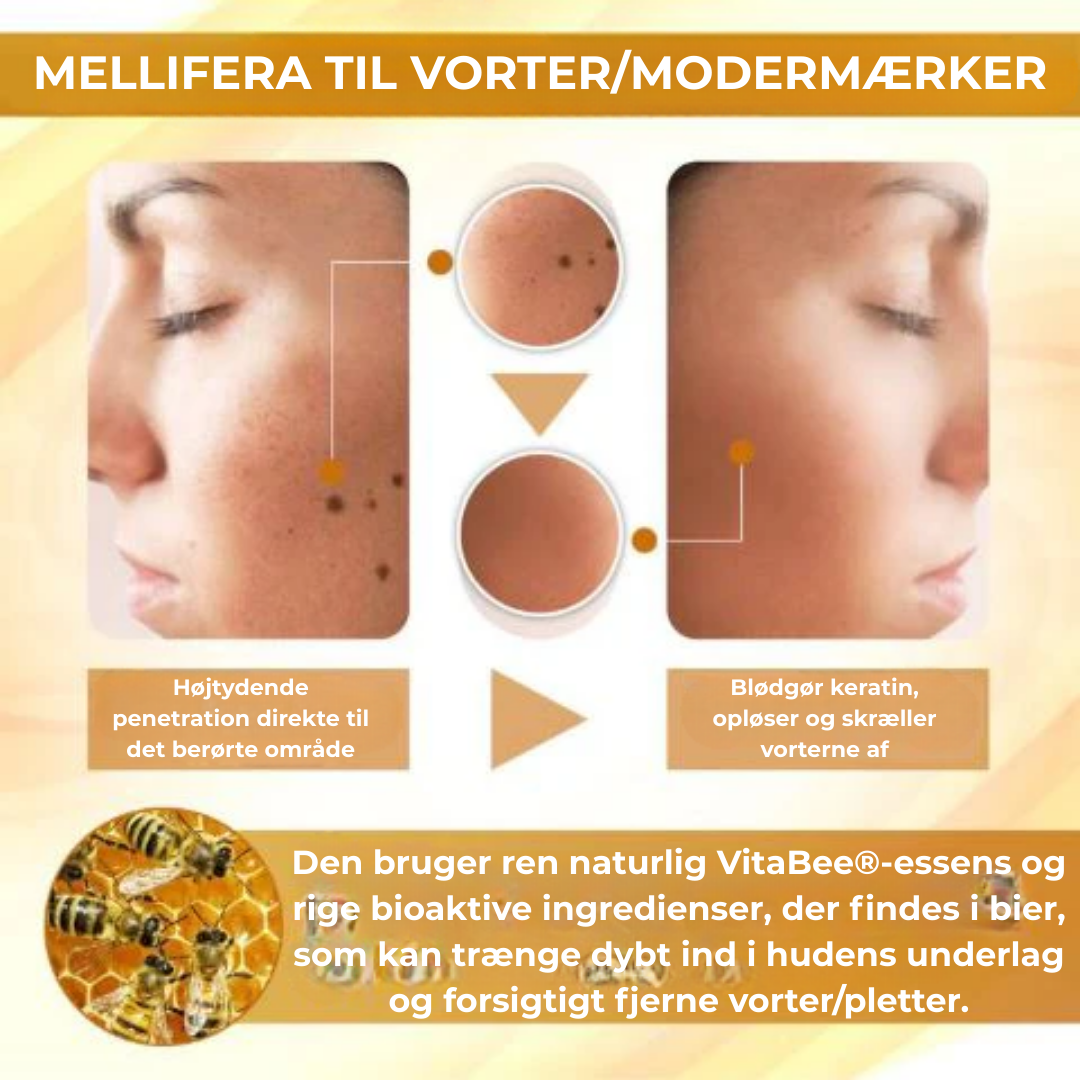 VitaBee® | Koncentreret bigift reparationscreme
