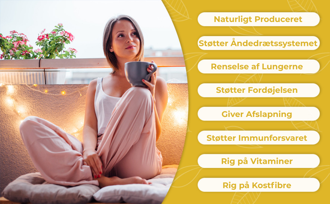 Lungerens® | fjerner 99% af lungeurenheder inden for den første uges brug