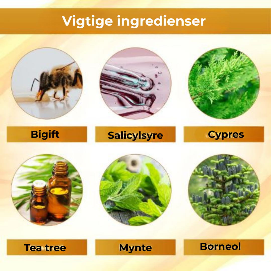 VitaBee® | Koncentreret bigift reparationscreme