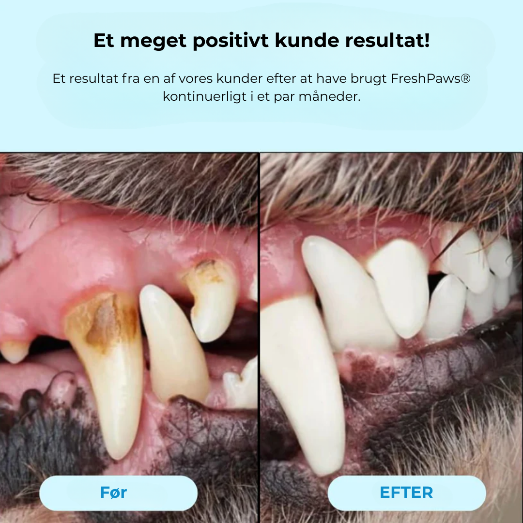 FreshPaws® Kit | Beskytter mod tandlidelser - 50 stk.