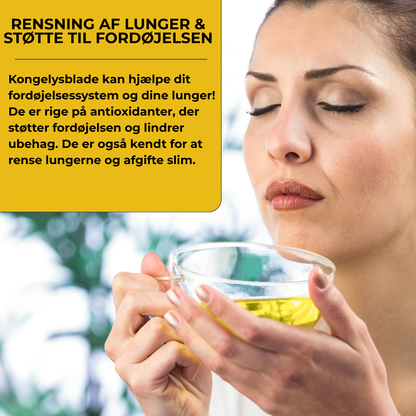 Lungerens® | fjerner 99% af lungeurenheder inden for den første uges brug