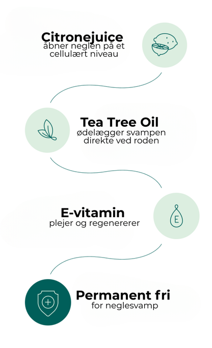 Velora® Negleskjold | Den naturlige løsning til stærke, sunde og svampefri negle!