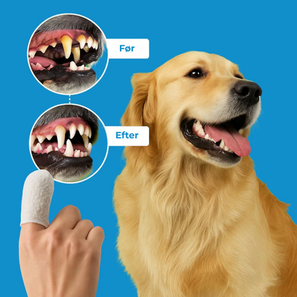 FreshPaws® Kit | Beskytter mod tandlidelser - 50 stk.