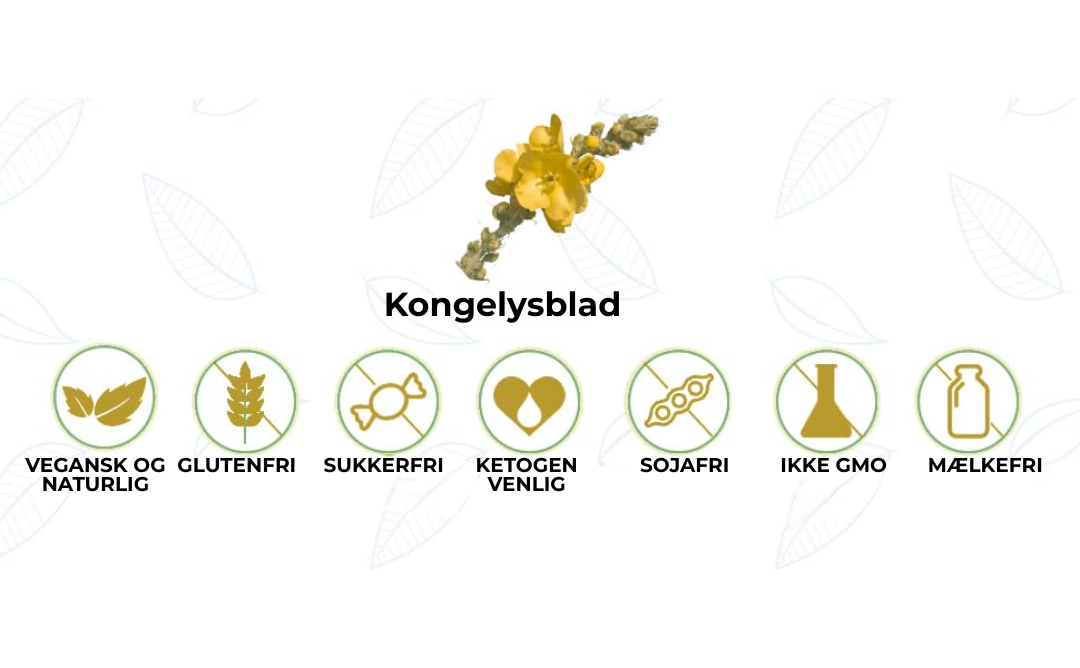 Lungerens® | fjerner 99% af lungeurenheder inden for den første uges brug