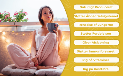 Lungerens® | fjerner 99% af lungeurenheder inden for den første uges brug