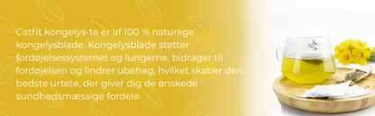 Lungerens® | fjerner 99% af lungeurenheder inden for den første uges brug