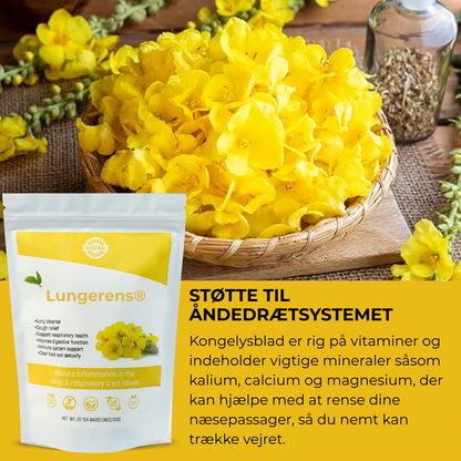 Lungerens® | fjerner 99% af lungeurenheder inden for den første uges brug