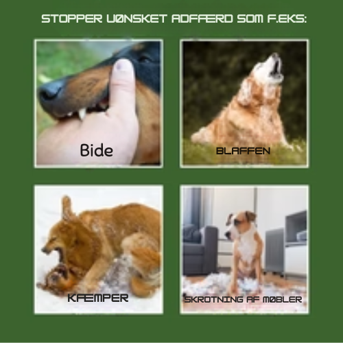 WoofieCalm®  - Stopper gøen og anden uønsket adfærd