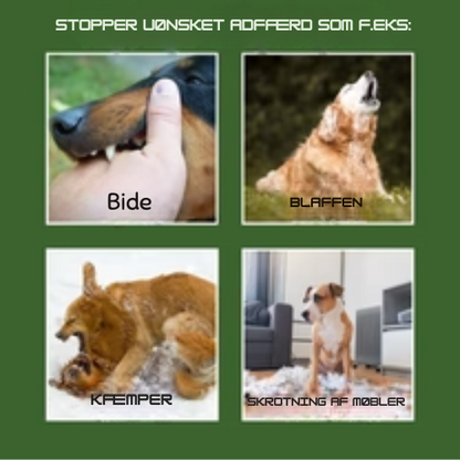 WoofieCalm®  - Stopper gøen og anden uønsket adfærd